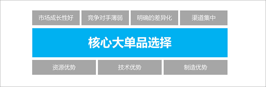 策劃市場突破大單品 策劃市場突破大單品