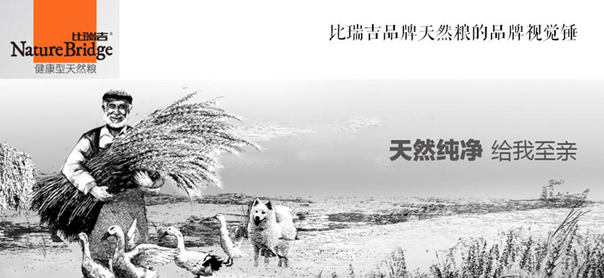 德施曼視覺(jué)錘診斷