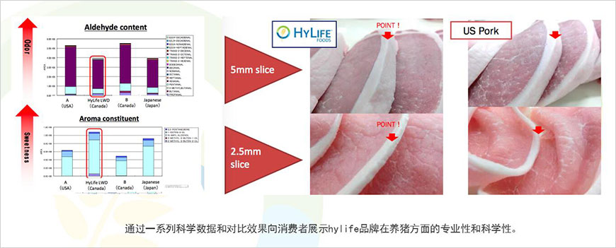 品牌信任狀 品牌信任狀