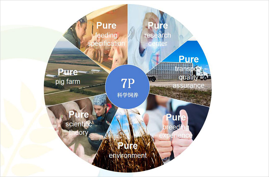 7p-科學飼養(yǎng) 7p-科學飼養(yǎng)