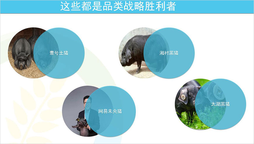 競爭品牌的品類制勝策略 競爭品牌的品類制勝策略